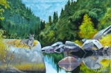 12_Californian mountain lion